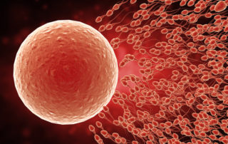 apthorp rx Is In Vitro Fertilization Right For You Understanding The IVF Process