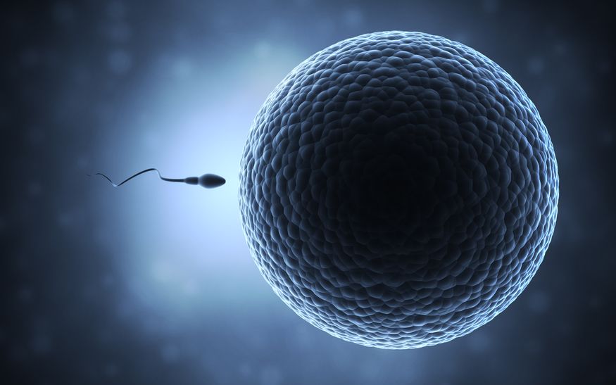 apthorp-pharmacy-Azoospermia-Treatment-Can-ICSI-Help-With-Low-Sperm-Count